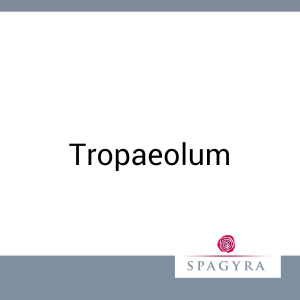 Tropaeolum Spagyra  Urtinktur 20 ml - 20ml