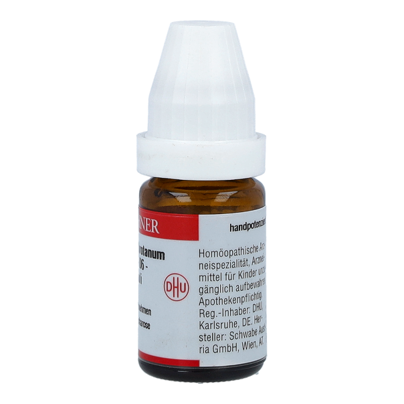 Artemisia Abrotanum DHU 8 g D 6 Globuli - 8g