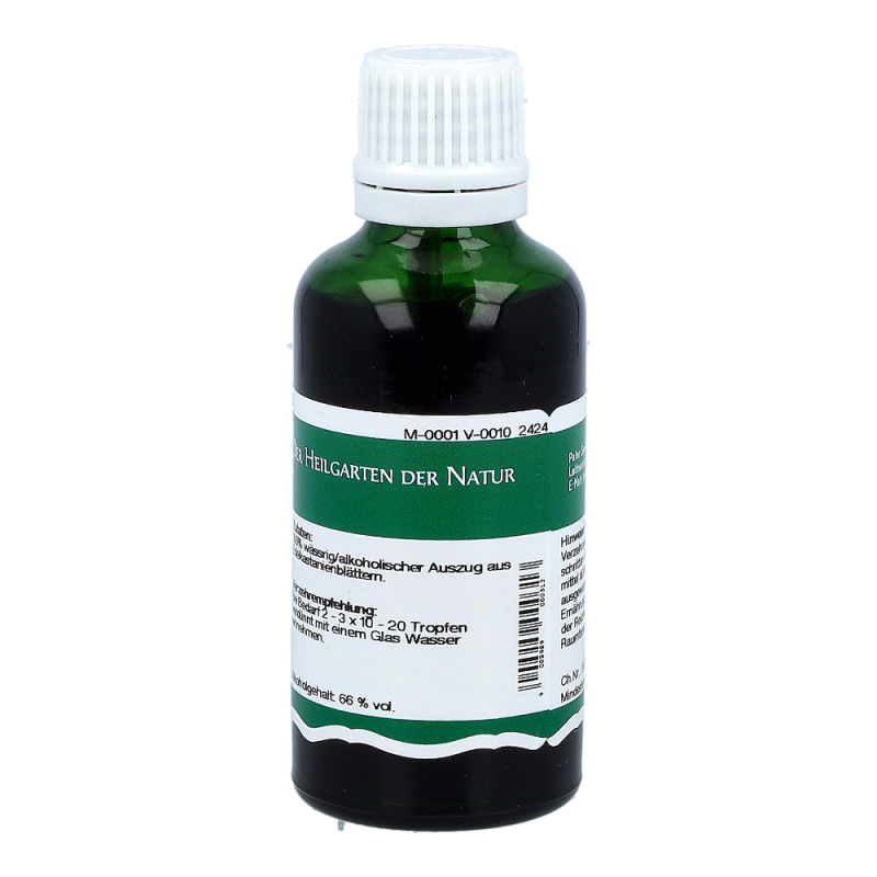 St. Severin Kastanienblätter Tropfen - 50ml