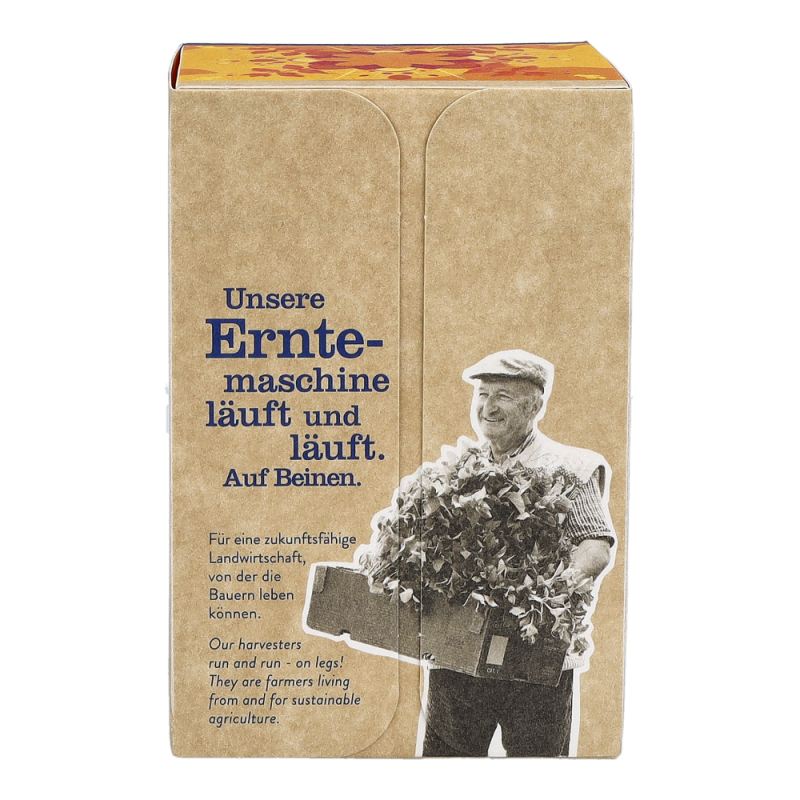 Sonnentor Hellwach Gewürztee bio mit Mate 18 Btl. - 18 Beutel