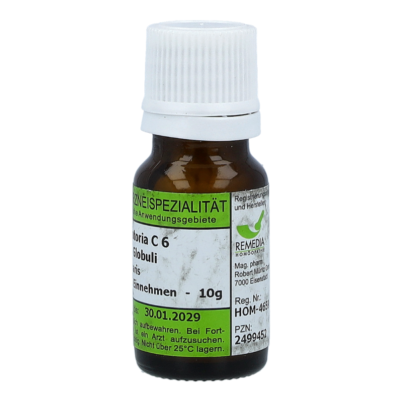 Lytta Vesicatoria Remedia 10 g C 6 Globuli - 10g