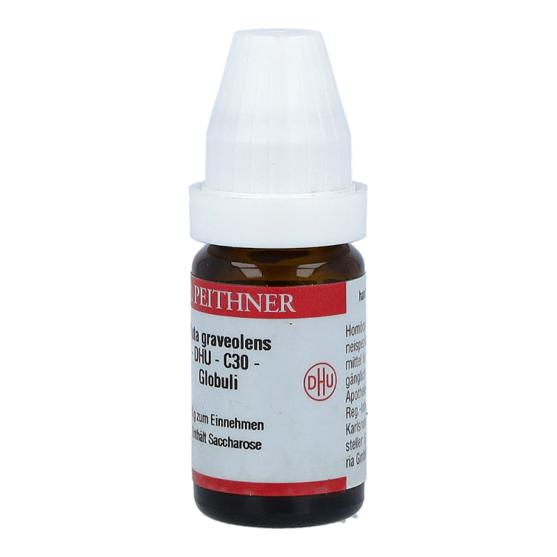 Ruta DHU 8 g C 30 Globuli - 8g