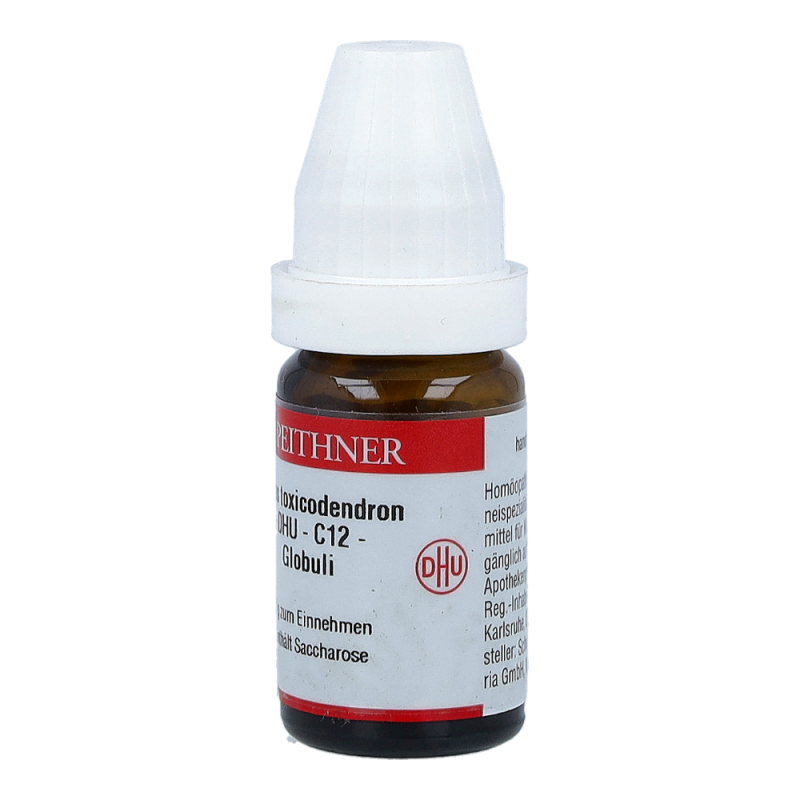 Toxicodendron Quercifolium DHU 8 g C 12 Globuli - 8g