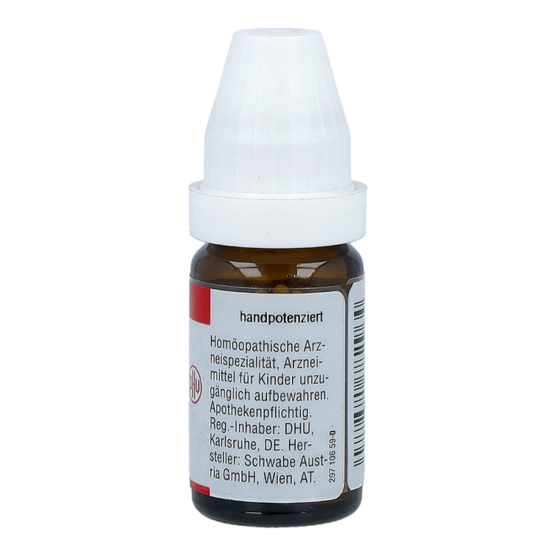 Toxicodendron Quercifolium DHU 8 g C 12 Globuli - 8g