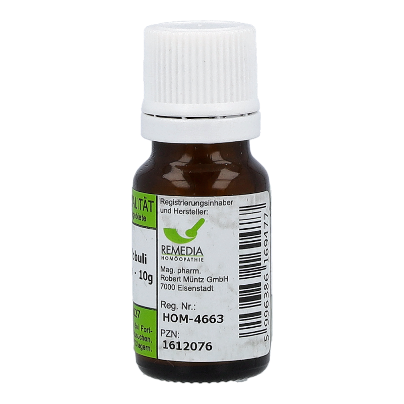 Phosphor Remedia 10 g D 6 Globuli - 10g