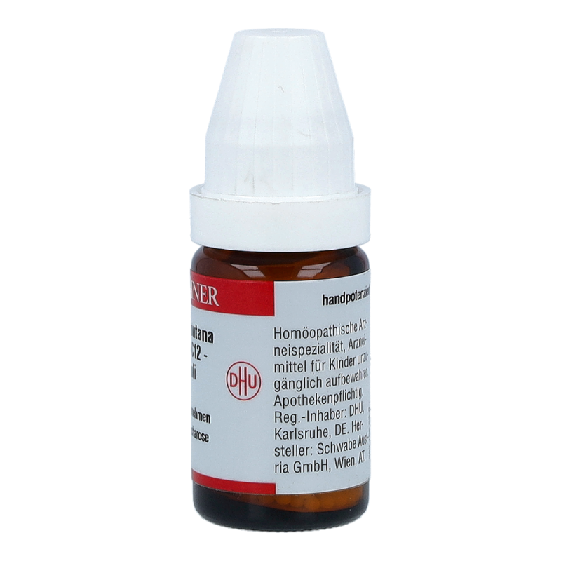 Arnica DHU 8 g C 12 Globuli - 8g