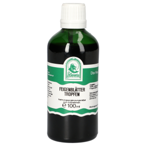 FEIGENBLAETTER TR - 100ml