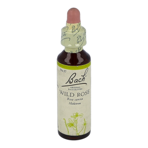 Bachblüte Nr. 37 Wild Rose Tropfen 20 ml - 20ml