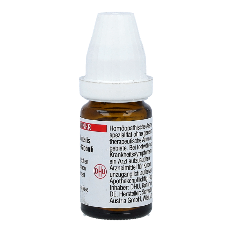 Thuja Occidentalis DHU 8 g C 12 Globuli - 8g