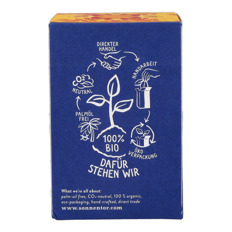 Sonnentor Hellwach Gewürztee bio mit Mate 18 Btl. - 18 Beutel