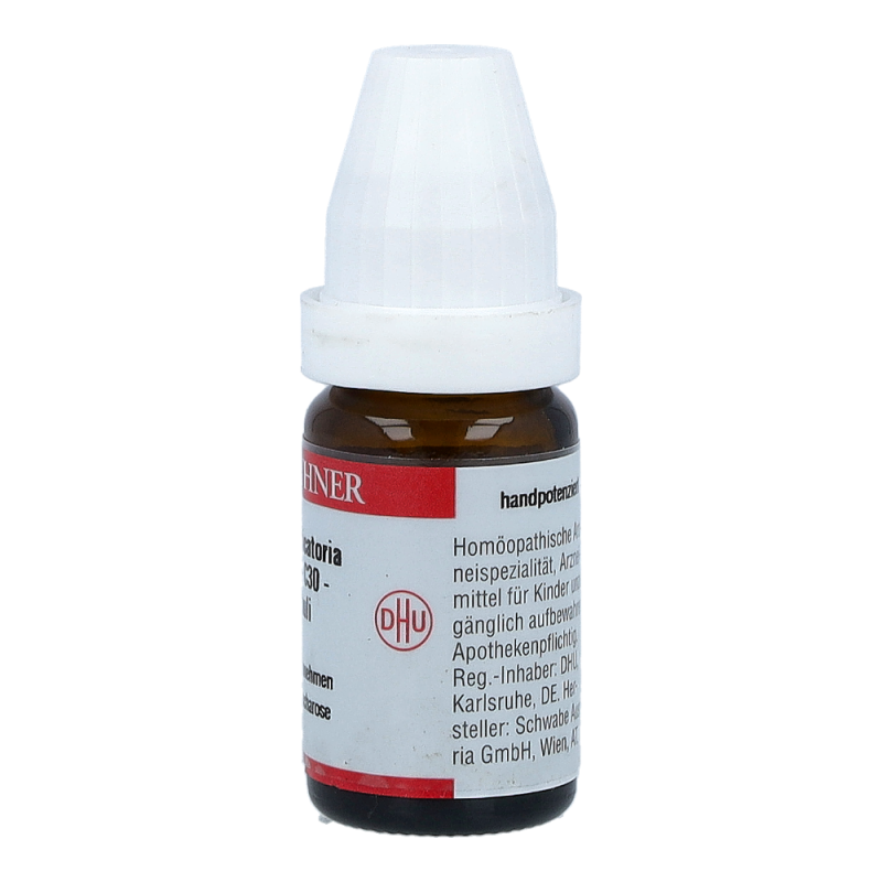 Lytta Vesicatoria DHU 8 g C 30 Globuli - 8g