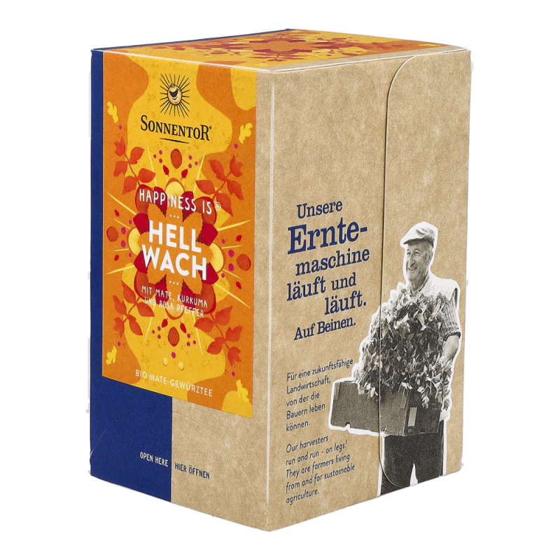 Sonnentor Hellwach Gewürztee bio mit Mate 18 Btl. - 18 Beutel