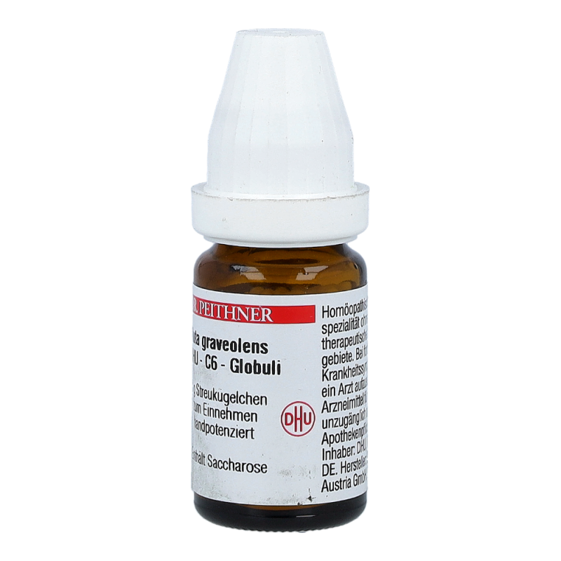 Ruta DHU 8 g C 6 Globuli - 8g