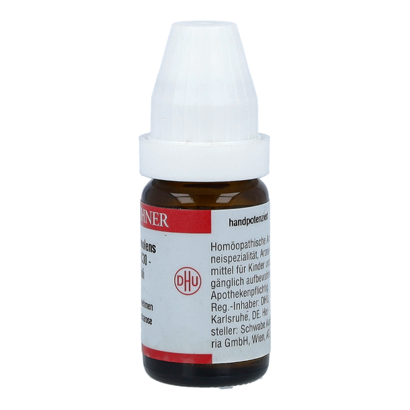 Ruta DHU 8 g C 30 Globuli - 8g