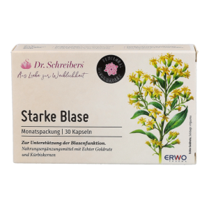DR.SCHREIBERS STARKE BLASE - 30 Stück