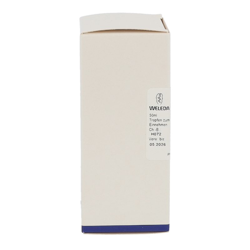 Weleda Hypericum Auro Cultum D 3 Dilutum 50 ml - 50ml