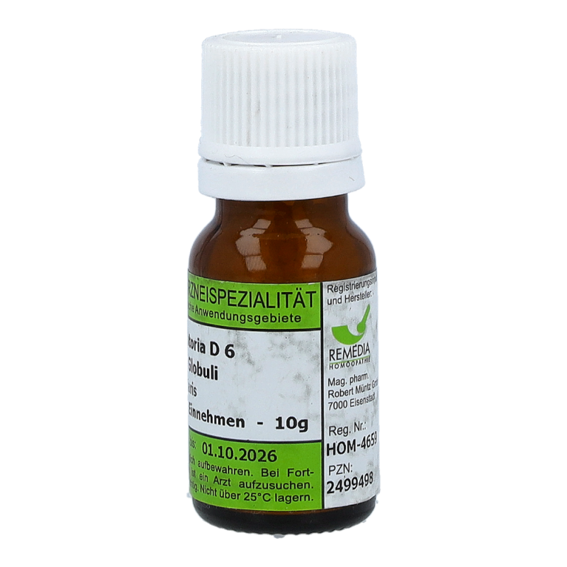 Lytta Vesicatoria Remedia 10 g D 6 Globuli - 10g
