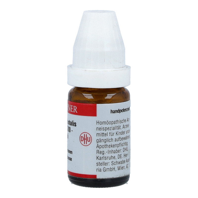 Thuja Occidentalis DHU 8 g C 200 Globuli - 8g